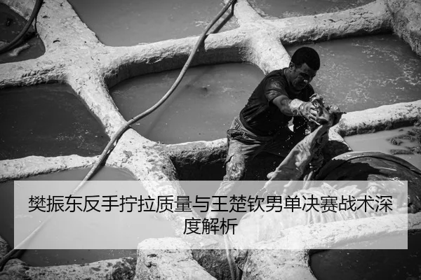 fan-zhen-dong-fan-shou-ning-la-zhi-liang-yu-wang-chu-qin-nan-dan-jue-sai-zhan-shu-shen-du-jie-xi-3-250.jpg