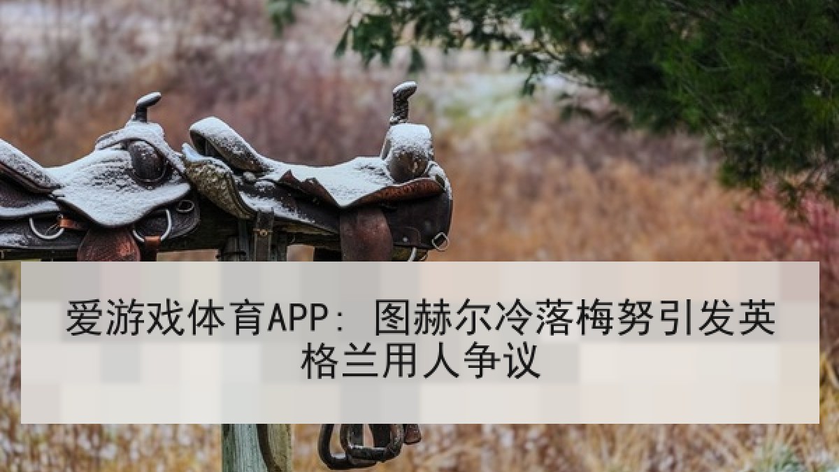 爱游戏体育APP: 图赫尔冷落梅努引发英格兰用人争议