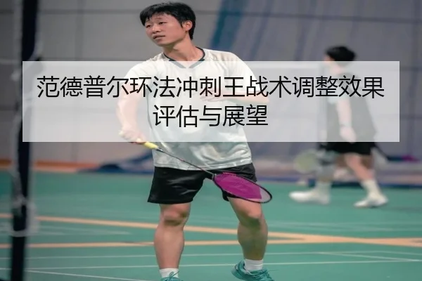 范德普尔环法冲刺王战术调整效果评估与展望