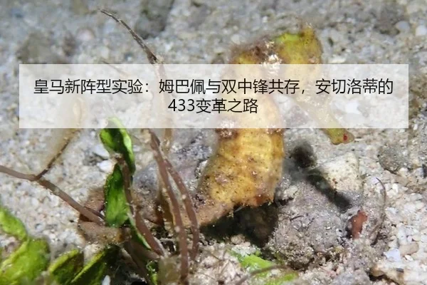 huang-ma-xin-zhen-xing-shi-yan-mu-ba-pei-yu-shuang-zhong-feng-gong-cun-an-qie-luo-di-de-bian-ge-zhi-lu-2-894.jpg